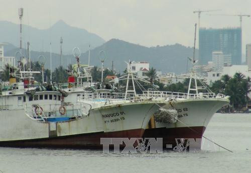 (Ảnh minh họa: TTXVN) (Ảnh minh họa: TTXVN)