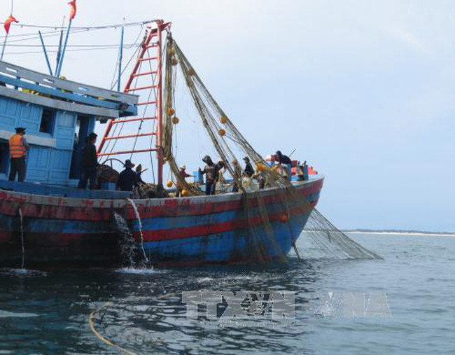 Tăng cường giải pháp chống khai thác hải sản bất hợp pháp ảnh 2 Tăng cường giải pháp chống khai thác hải sản bất hợp pháp ảnh 2