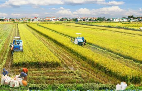 Phát triển nông nghiệp ứng dụng công nghệ cao, nông nghiệp sạch, nông nghiệp hữu cơ gắn với công nghiệp chế biến. Ảnh minh họa: Dangcongsan.vn Phát triển nông nghiệp ứng dụng công nghệ cao, nông nghiệp sạch, nông nghiệp hữu cơ gắn với công nghiệp chế biến. Ảnh minh họa: Dangcongsan.vn