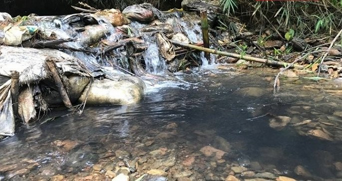 Ảnh minh họa: VTC Ảnh minh họa: VTC