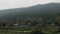 Việc xóa sổ hơn 100ha rừng phòng hộ ở Tam Đảo phải được sự cho phép của Thủ tướng Chính phủ và Quốc hội.