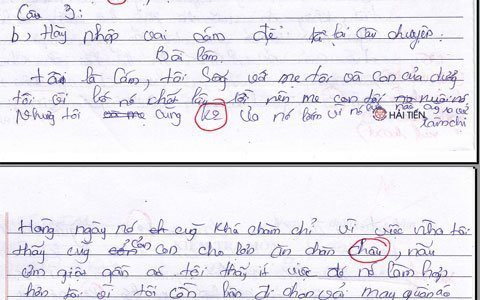 Bài làm của học sinh. Bài làm của học sinh.