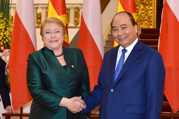 "Chile đang xác minh thông tin vây cá mập phơi trên mái nhà trụ sở Thương vụ" ảnh 1