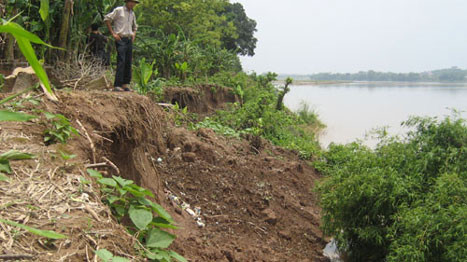 Sạt lở bờ sông Thao xã Hiền Quan, huyện Tam Nông, tỉnh Phú Thọ. Ảnh: VOV. Sạt lở bờ sông Thao xã Hiền Quan, huyện Tam Nông, tỉnh Phú Thọ. Ảnh: VOV.