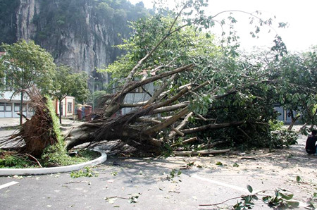 Ảnh minh họa: Internet. Ảnh minh họa: Internet.