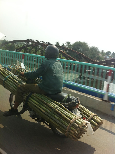 "Nòng súng" vươn lên trời cao. "Nòng súng" vươn lên trời cao.