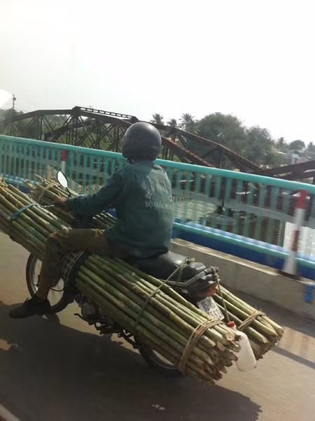 "Nòng súng" vươn lên trời cao.