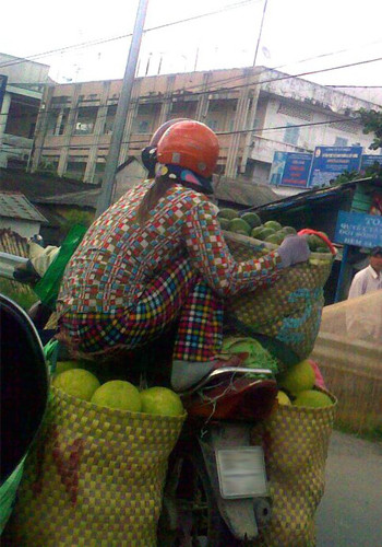 Hay ngồi trên những sọt trái cây. Hay ngồi trên những sọt trái cây.