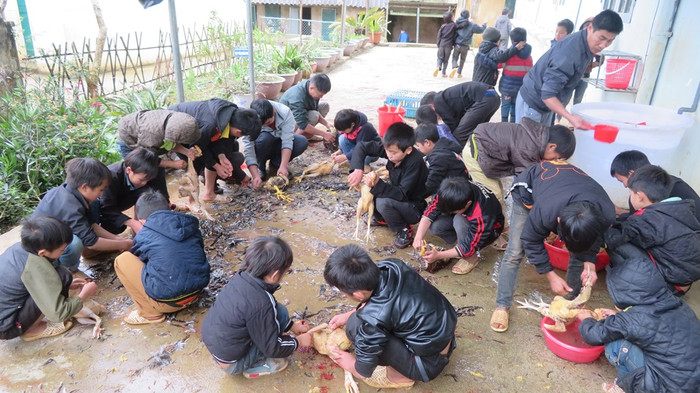 Việc mổ gà làm cỗ Tết đều được các bạn nhỏ vùng cao làm rất thành thục. Việc mổ gà làm cỗ Tết đều được các bạn nhỏ vùng cao làm rất thành thục.