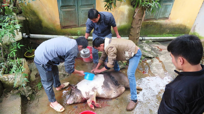 Hình ảnh học trò vùng cao, tự tay làm cỗ Tết ảnh 2 Hình ảnh học trò vùng cao, tự tay làm cỗ Tết ảnh 2