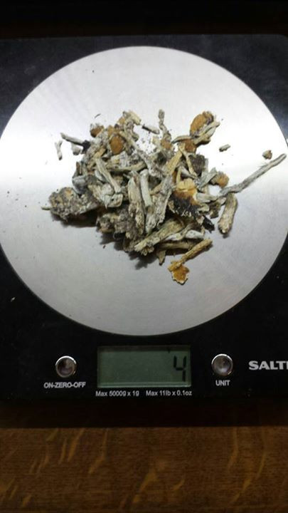 Một loại nấm thức thần đang được rao bán trên mạng xã hội. (Ảnh chụp từ Facebook) Một loại nấm thức thần đang được rao bán trên mạng xã hội. (Ảnh chụp từ Facebook)