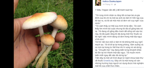 Chia sẻ của một "dân chơi" về nấm thức thần. (ảnh:Chụp màn hình) Chia sẻ của một "dân chơi" về nấm thức thần. (ảnh:Chụp màn hình)