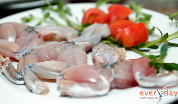 Ếch hương sống trong hang hốc, ven các khe suối của hai xã Công Sơn thuộc huyện Cao Lộc và Mẫu Sơn thuộc huyện Lộc Bình, tỉnh Lạng Sơn. Ếch hương được mệnh danh là ếch tiến vua. Ảnh: everyday.vn