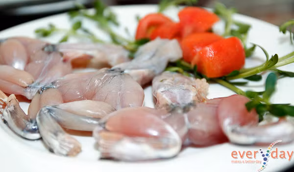 Ếch hương sống trong hang hốc, ven các khe suối của hai xã Công Sơn thuộc huyện Cao Lộc và Mẫu Sơn thuộc huyện Lộc Bình, tỉnh Lạng Sơn. Ếch hương được mệnh danh là ếch tiến vua. Ảnh: everyday.vn