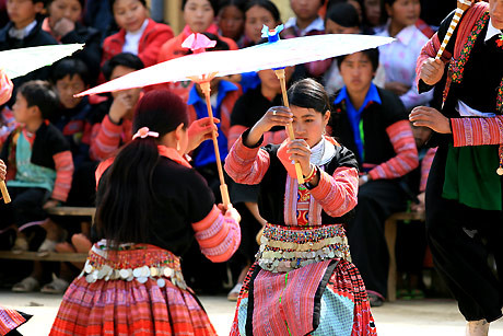 Cọ xòe ô che nắng, râm mát đường em đi... Ảnh: VnExpress. Cọ xòe ô che nắng, râm mát đường em đi... Ảnh: VnExpress.