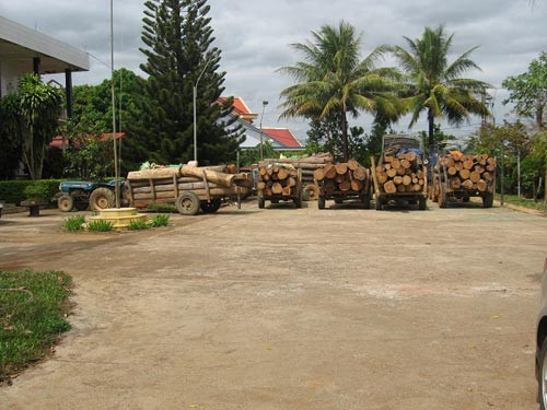 Gỗ lậu được cho là có liên quan đến con của cán bộ kiểm lâm. Gỗ lậu được cho là có liên quan đến con của cán bộ kiểm lâm.