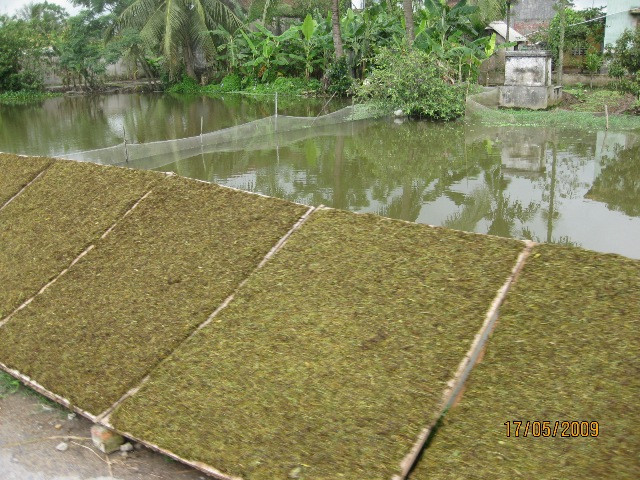 Những người “sành” thuốc lào chỉ nhớ đến Tiên lãng vì từ xa xưa, nơi đây đã sản xuất ra một loại thuốc lào quý tiến Vua. Sách Đồng Khánh dư địa chí lược ghi “ thuốc lào xã An Tử Hạ là thứ thuốc thuộc loại ngon nhất”để tiến vua. Ảnh: vietstamp.net Những người “sành” thuốc lào chỉ nhớ đến Tiên lãng vì từ xa xưa, nơi đây đã sản xuất ra một loại thuốc lào quý tiến Vua. Sách Đồng Khánh dư địa chí lược ghi “ thuốc lào xã An Tử Hạ là thứ thuốc thuộc loại ngon nhất”để tiến vua. Ảnh: vietstamp.net