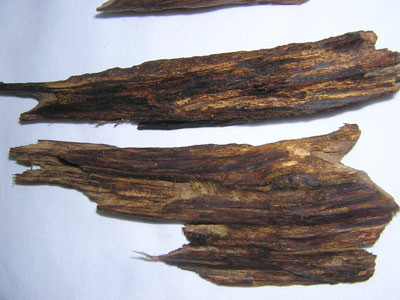 Trầm Hương là linh vật dâng tiến Vua. Trầm Hương được đốt trong những đại lễ cúng tế linh thiêng nơi đài các phong lưu. Ảnh: Thanh Tùng. Trầm Hương là linh vật dâng tiến Vua. Trầm Hương được đốt trong những đại lễ cúng tế linh thiêng nơi đài các phong lưu. Ảnh: Thanh Tùng.