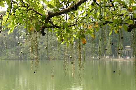 Theo dự báo, đợt không khí lạnh này tại Bắc bộ sẽ chấm dứt vào ngày mai. Ảnh minh họa: Internet. Theo dự báo, đợt không khí lạnh này tại Bắc bộ sẽ chấm dứt vào ngày mai. Ảnh minh họa: Internet.