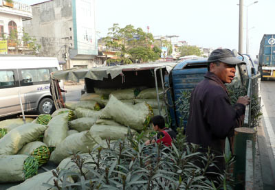 Sự việc xảy ra lúc 15h30 chiều quốc lộ 5 Gia Lâm (Hà Nội). Tại hiện trường, chiếc xe tải chở đầy dưa nằm nghiêng, đầu kê lên giải phân cách giữa đường. Hơn chục bao tải đầy chặt dưa nằm ngổn ngang trên mặt quốc lộ. Một số nhân chứng cho biết, khi ôtô này chạy hướng Hải Phòng - Hà Nội đến đoạn đường trên bất ngờ nổ lốp khiến chiếc xe bị hất nghiêng, đổ chắn ngang đường và trượt đè lên giải phân cách. Một thanh niên đi xe máy Super Dream bên làn đường bên cạnh không kịp phản xạ bị ngã xuống đường. Xe tải phía sau không kịp phanh chồm lên nuốt 2/3 chiếc xe máy vào trong gầm. Ảnh: VnExpress.