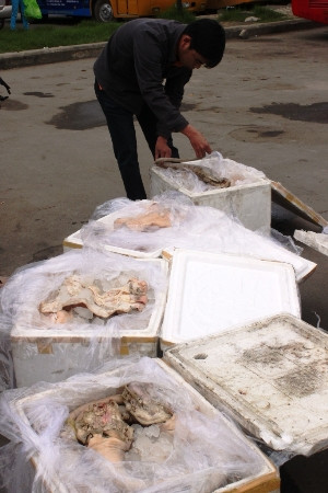 Cơ quan chức năng kiểm tra số hàng. Ảnh: Nguyễn Huy.