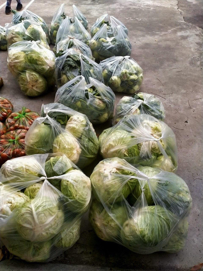 Chung tay cùng giải cứu nông sản cho bà con.