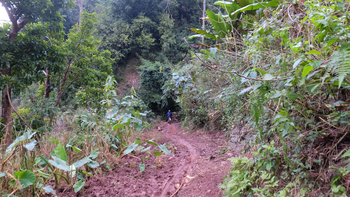 Đường vào bản U Pa Tết. Ảnh: LC
