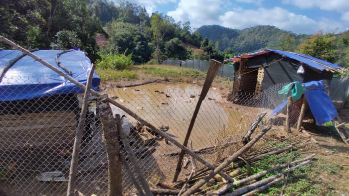 Chuồng nuôi vịt của các cô giáo.