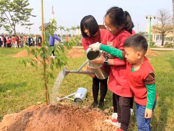 Về kế hoạch thực hiện, năm 2021 sẽ trồng khoảng 182 triệu cây, trong đó, cây xanh phân tán 120 triệu cây, tăng 1,5 lần so với năm 2020. Ảnh minh họa: TTXVN