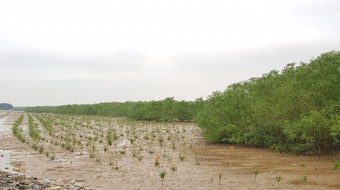 Phó Thủ tướng Chính phủ Trịnh Đình Dũng có ý kiến về việc ban hành Kế hoạch hành động quốc gia ứng phó với biến đổi khí hậu giai đoạn 2021 – 2030. Ảnh minh họa: Báo Tài nguyên và Môi trường Phó Thủ tướng Chính phủ Trịnh Đình Dũng có ý kiến về việc ban hành Kế hoạch hành động quốc gia ứng phó với biến đổi khí hậu giai đoạn 2021 – 2030. Ảnh minh họa: Báo Tài nguyên và Môi trường