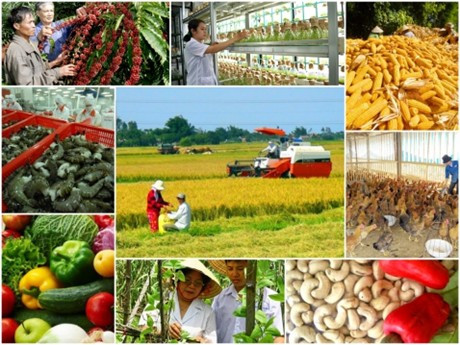 Năm 2019, ngành nông nghiệp phấn đấu xuất khẩu tối thiểu 43 tỷ USD ảnh 1 Năm 2019, ngành nông nghiệp phấn đấu xuất khẩu tối thiểu 43 tỷ USD ảnh 1