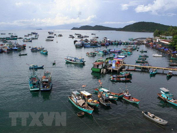Ảnh minh họa: TTXVN Ảnh minh họa: TTXVN
