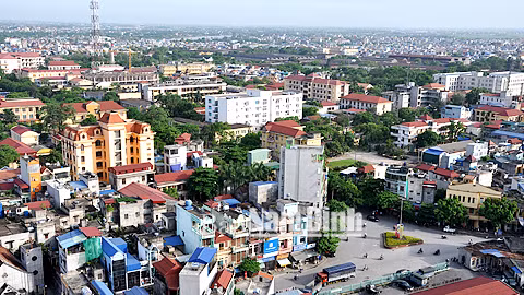 (Ảnh minh họa: Báo Nam Định)
