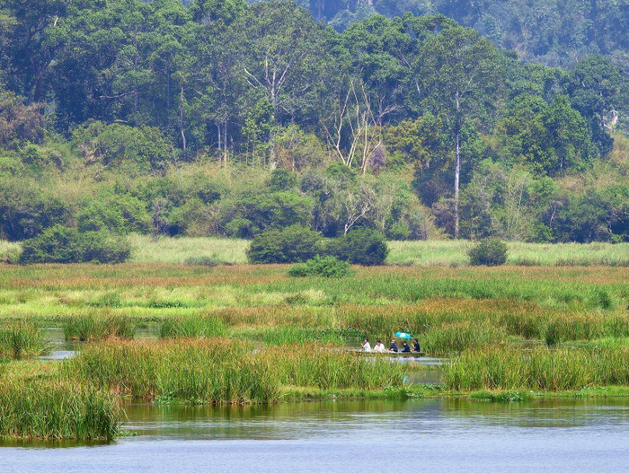 Ảnh minh họa: VGP Ảnh minh họa: VGP