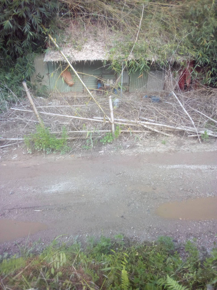 HIện trường nơi anh Nguyễn Văn Thuyết bị đánh. (Ảnh: LC) HIện trường nơi anh Nguyễn Văn Thuyết bị đánh. (Ảnh: LC)