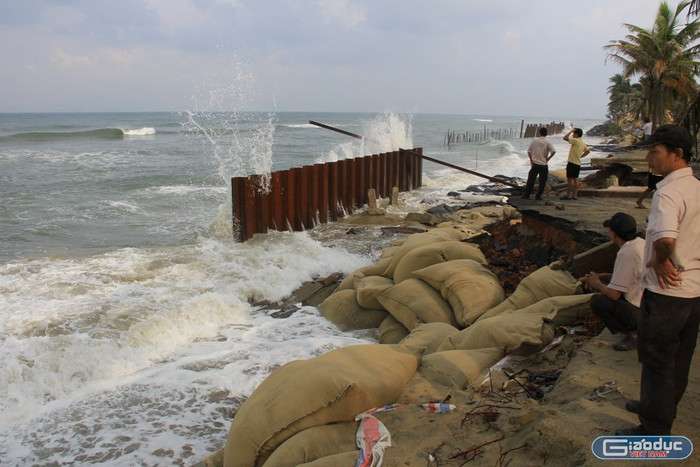 Sạt lở ngày càng nghiêm trọng ở bờ biển Cửa Đại - Hội An. Ảnh: hoàng Tuấn