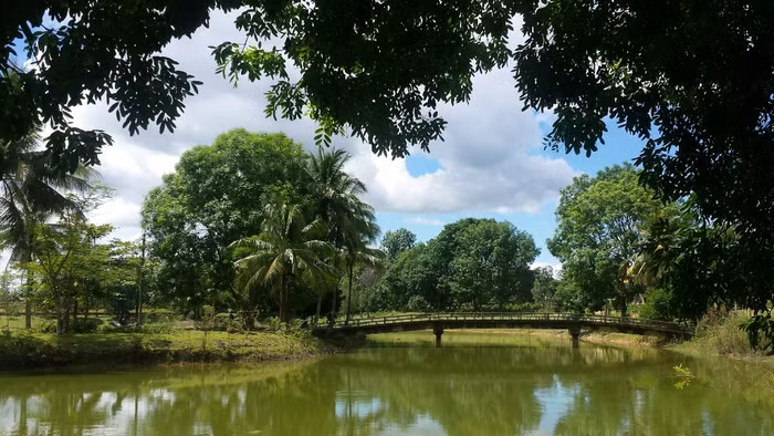 Hồ nước nhân tạo quanh năm trong xanh giữa khuôn viên của nghĩa trang Trường Sơn. Ảnh: Hoàng Tuấn