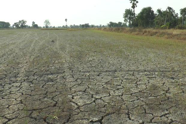 Tình trạng hạn hán khắp đồng bằng sông Cửu Long, ảnh: canthotv. Tình trạng hạn hán khắp đồng bằng sông Cửu Long, ảnh: canthotv.