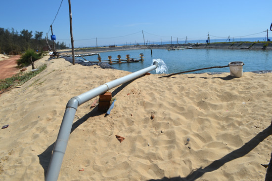 Ảnh minh họa: baochinhphu.vn