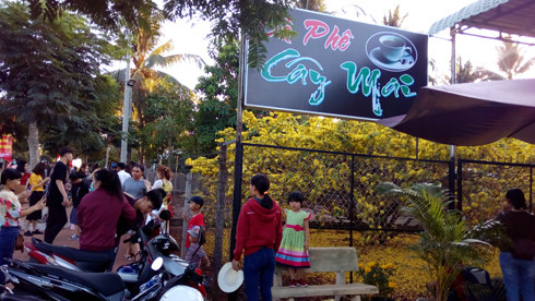 Quán cà phê Cây Mai đã trở thành điểm vui chơi ngày Xuân của người dân trong huyện và các tỉnh lân cận. (Ảnh: H.L) Quán cà phê Cây Mai đã trở thành điểm vui chơi ngày Xuân của người dân trong huyện và các tỉnh lân cận. (Ảnh: H.L)