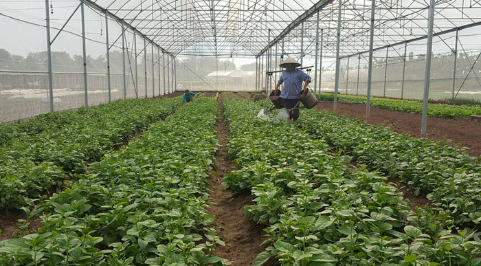 Ảnh minh họa: cuctrongtrot.gov.vn Ảnh minh họa: cuctrongtrot.gov.vn