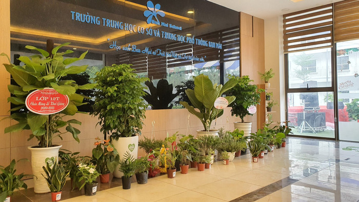 Ảnh: H.V Ảnh: H.V