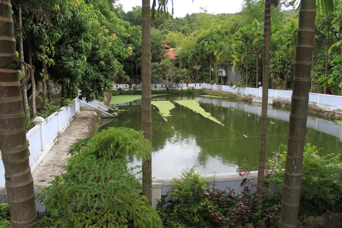 Phía trong có hồ cá, cây cảnh...