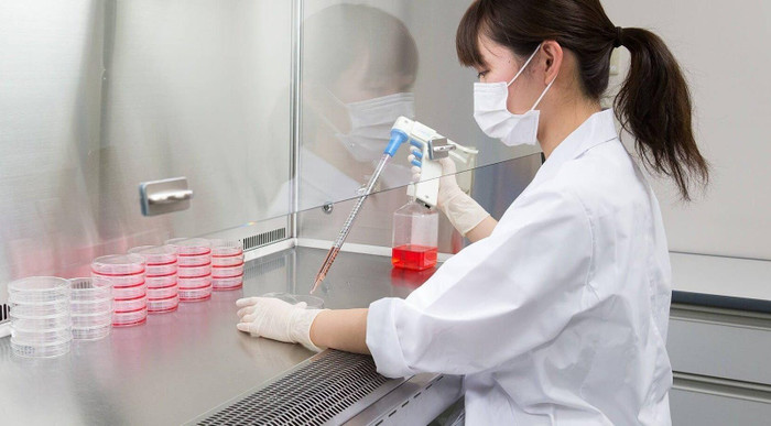 Môi trường nuôi cấy lí tưởng tế bào StemFit™ góp phần phát triển tế bào gốc trong y học.