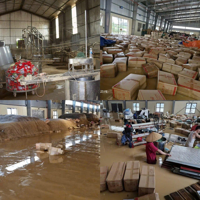Xưởng miến của Hợp tác xã Miến Việt Cường ngập hoàn toàn trong nước lũ. anh1.jpg