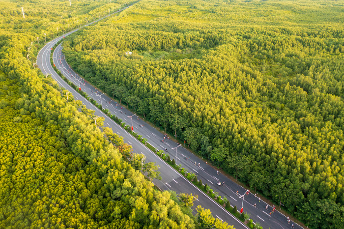 Cung đường marathon uốn lượn giữa rừng ngập mặn xanh mát bất tận. hinh-2-cung-duong-marathon-uon-luon-giua-rung-ngap-man-xanh-mat-bat-tan.jpg