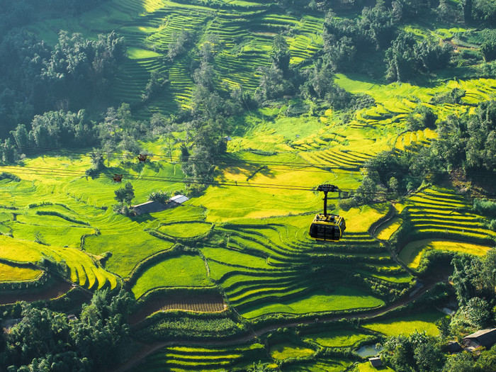 (Ảnh: Bảo Long) (Ảnh: Bảo Long)