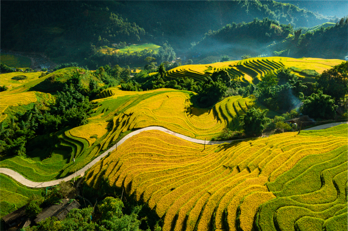 (Ảnh: Dương Quốc Hiếu) (Ảnh: Dương Quốc Hiếu)