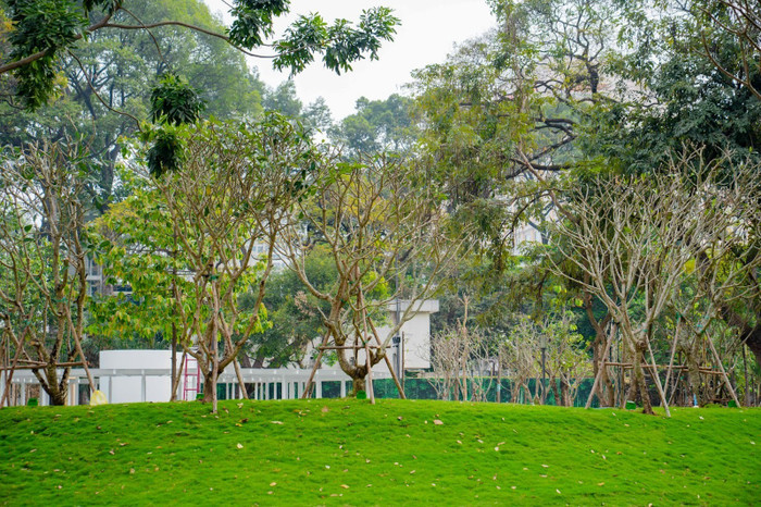 Công viên tạo ra nhiều khoảng xanh dành tặng người dân Thành phố Hồ Chí Minh.