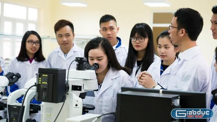 Ảnh minh họa: Phương Linh 1phuonglinh.jpg